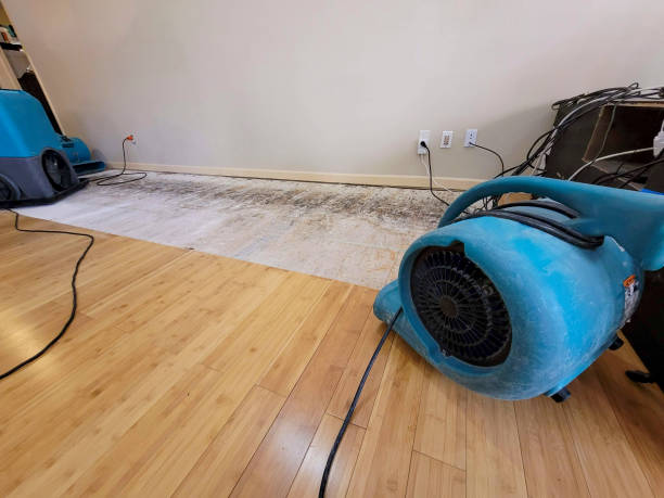 Professional Flood Damage Cleanup technician working in Mill Neck, NY